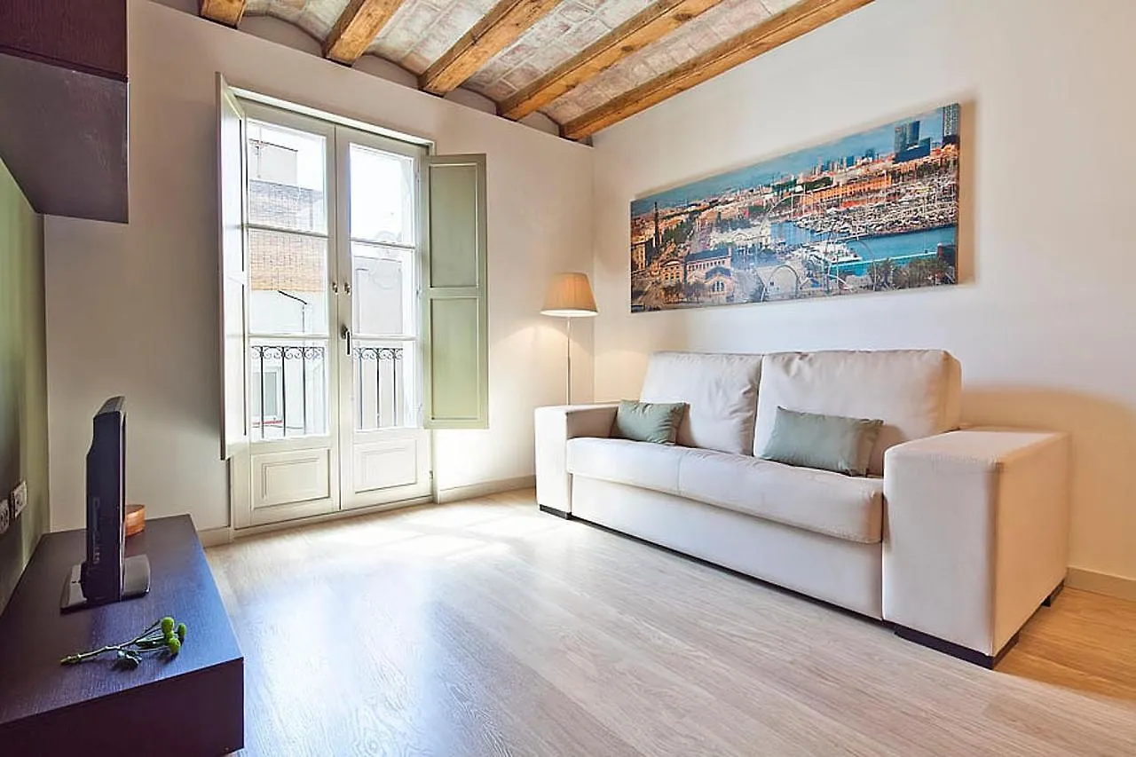 Ola Living Portaferrissa Apartment Barcelona Spain