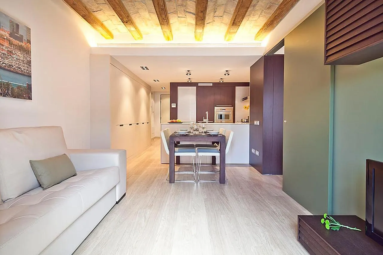 Ola Living Portaferrissa Appartement Barcelona Spanje