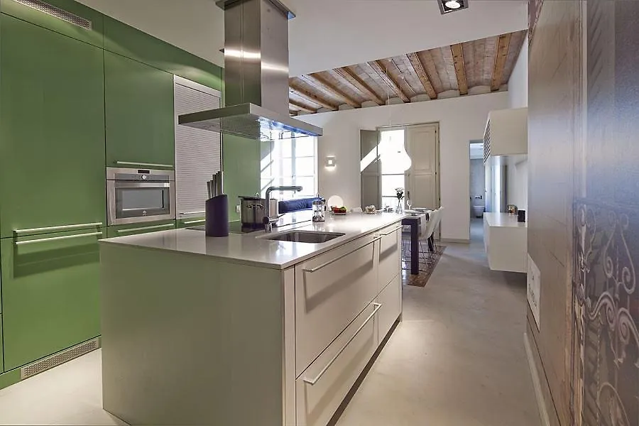 Ola Living Portaferrissa Appartement Barcelona Spanje